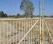 Peisajul e dezolant pe amplasamentul vechiului stadion din Pitești / FOTO: Remus Dinu (GSP)