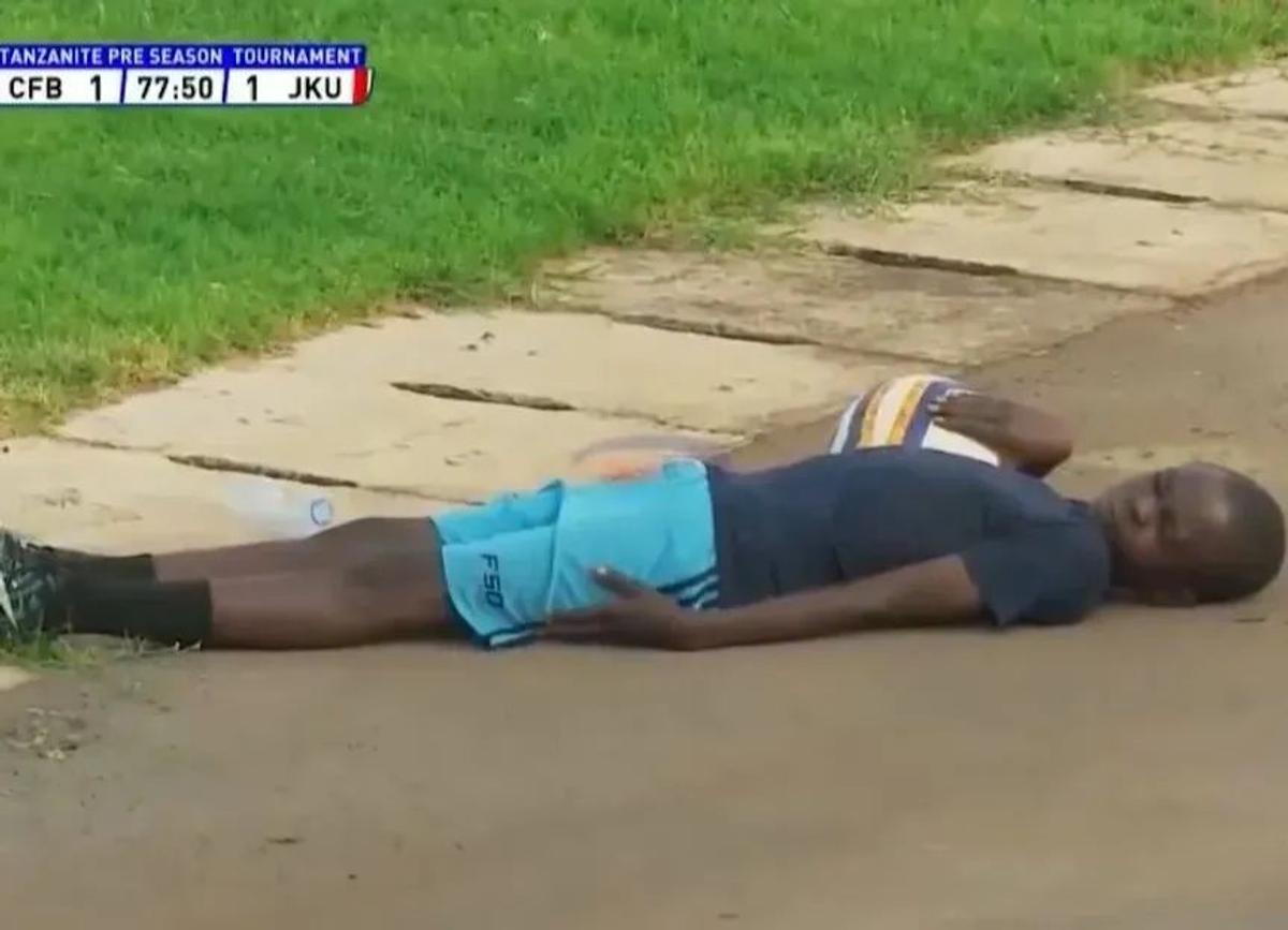 Albinele au întrerupt un meci din Tanzania