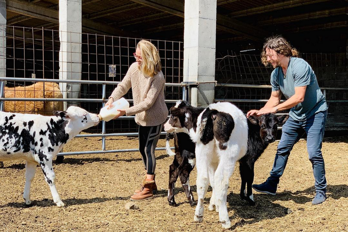 Vanesa Lorenzo