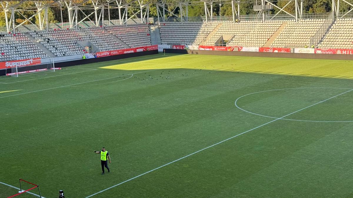Imagini înainte de Dinamo - FCSB