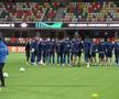 Reacția lui MM Stoica, după ce a văzut gazonul de la Silkeborg: „Mda, asta e carpetă de la Jysk!”
