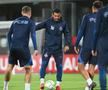 Reacția lui MM Stoica, după ce a văzut gazonul de la Silkeborg: „Mda, asta e carpetă de la Jysk!”