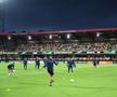 Reacția lui MM Stoica, după ce a văzut gazonul de la Silkeborg: „Mda, asta e carpetă de la Jysk!”