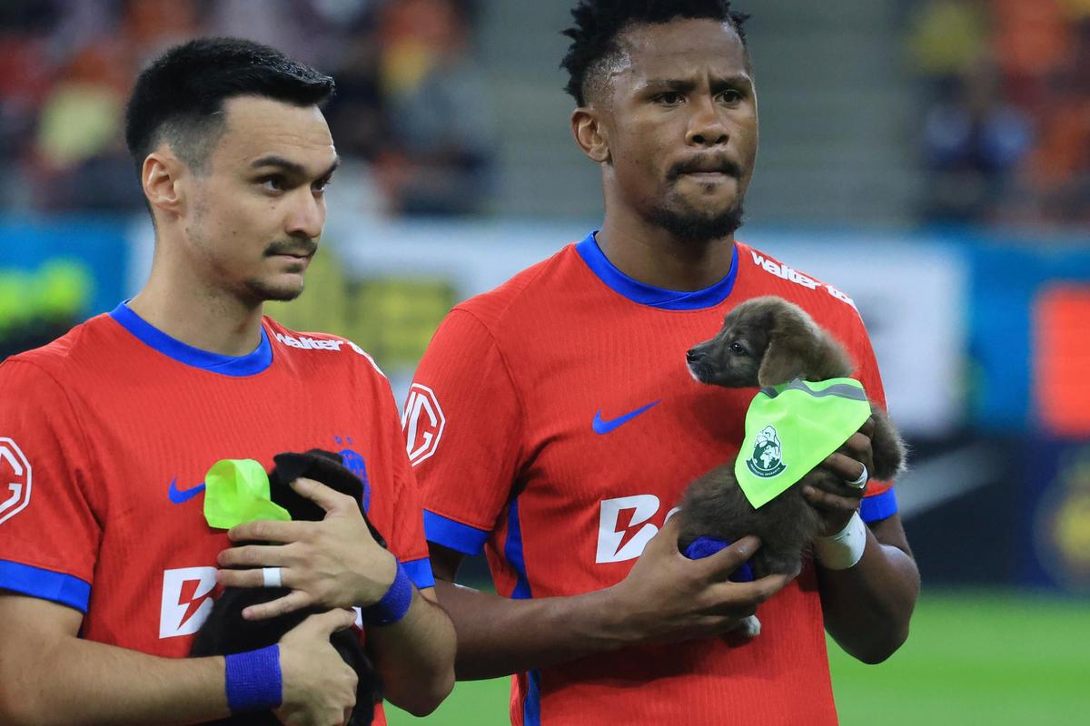 Amenda uriașă primită de FCSB, după victoria cu Craiova » Intervenția Jandarmeriei, usturătoare