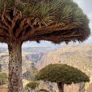 Grzegorz Krychowiak în Socotra