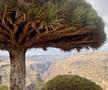 Grzegorz Krychowiak în Socotra