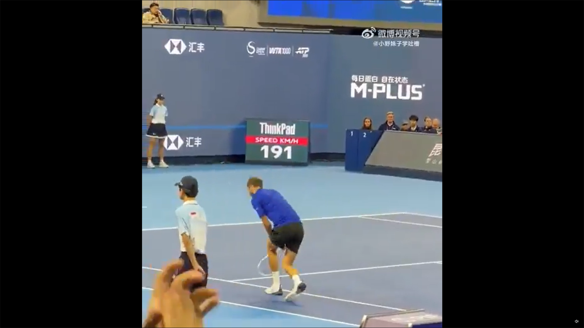 Gesturile lui Medvedev la adresa lui Djokovic
