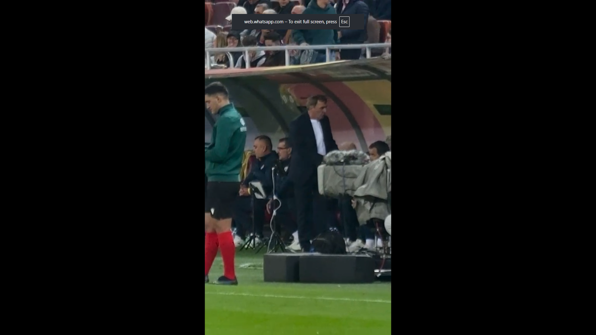 Reacția lui Gică Hagi după golul rapid marcat de Gyokeres pe Arena Națională