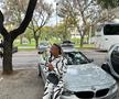Fabio Paim, fostul mare talent din fotbalul portughez