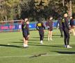 Imagini de la antrenamentul oficial al lui FC Basel / FOTO: Cezar Titor (GSP)