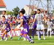 FC Argeș e repetentă la capitolul spectatori / foto: Raed Krishan