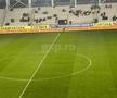 Vești bune pentru Dinamo » Cum arată gazonul pe „Arcul de Triumf” înainte de meciurile „câinilor”