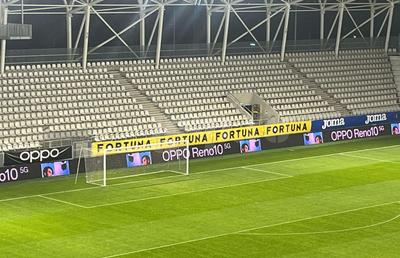 Vești bune pentru Dinamo » Cum arată gazonul pe „Arcul de Triumf” înainte de meciurile „câinilor”