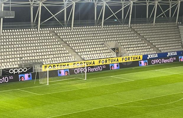 Vești bune pentru Dinamo » Cum arată gazonul pe „Arcul de Triumf” înainte de meciurile „câinilor”