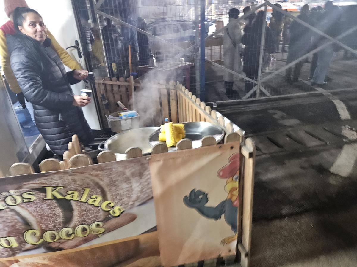 Agricola Borcea - FCSB, înainte de meci