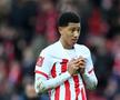 Fanii englezi, mirați de un aspect la Sunderland - Newcastle