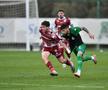 Andrei Borza / Rapid - Sakaryaspor în Antalya / FOTO: Cristi Preda (GSP.ro)