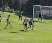 Antrenament fără „principal” » FC Botoșani îl așteaptă pe Leo Grozavu momit cu 10.000 de euro pe lună!