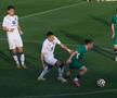 Imagini de la meciul FC Argeș - Bursaspor FOTO: Ionuţ Iordache (GSP)