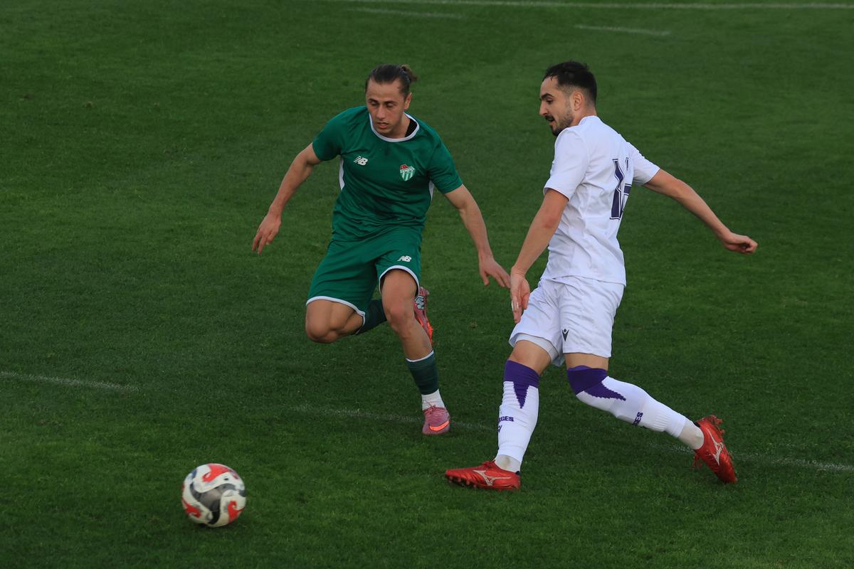 FC Argeș - Bursaspor