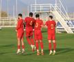 Imagini de la meciul Hermannstadt - Kayserispor FOTO: Ionuţ Iordache (FOTO)