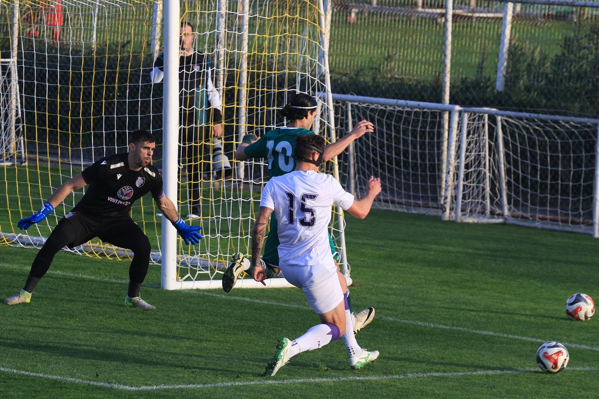 FC Argeș - Bursaspor