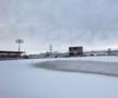 EXCLUSIV VIDEO + FOTO UPDATE Se lucrează din greu la stadionul din Voluntari » Gazonul e gata de meci