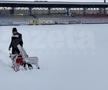 EXCLUSIV VIDEO + FOTO UPDATE Se lucrează din greu la stadionul din Voluntari » Gazonul e gata de meci