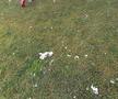 EXCLUSIV VIDEO + FOTO UPDATE Se lucrează din greu la stadionul din Voluntari » Gazonul e gata de meci