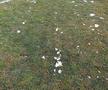 EXCLUSIV VIDEO + FOTO UPDATE Se lucrează din greu la stadionul din Voluntari » Gazonul e gata de meci