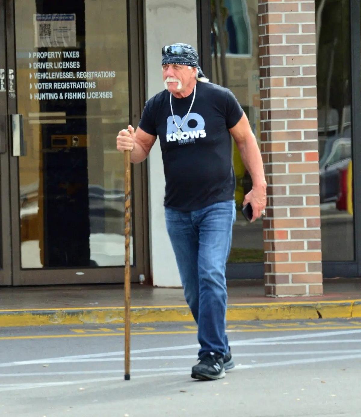 Hulk Hogan