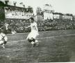 Silviu Bindea