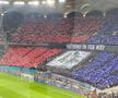 Din Stăpânul Inelelor, 300 sau Biblie? FCSB, scenografie înfricoșătoare la meciul cu Lyon: ce a apărut în Peluza Nord