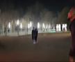 „Edjouma și Baba au mâncat?” » Gigi Becali a stârnit hohote de râs în direct
