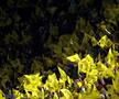 Villarreal - Bayern Munchen / Sursă foto: Guliver/Getty Images