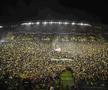 Imagini extraordinare în Nantes - Lyon, foto: Imago