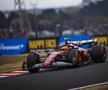 Marele Premiu de Formula 1 din Japonia, în imagini