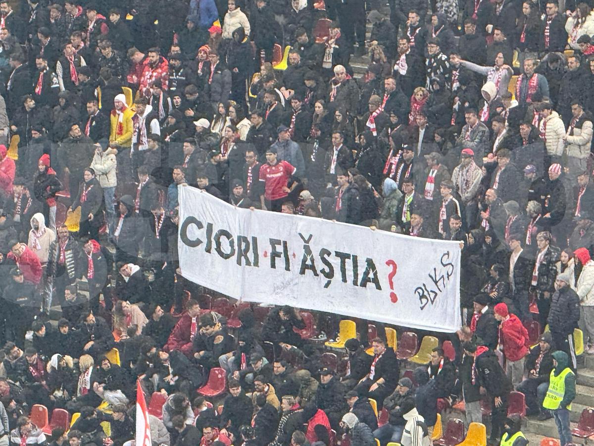 Bannere la Rapid - Dinamo
