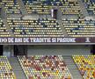 Arena Națională, cu însemnele Rapidului la derby-ul cu Dinamo