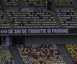 Arena Națională, cu însemnele Rapidului la derby-ul cu Dinamo