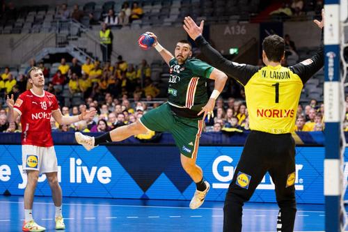 Miklos Rosta într-un meci din Champions League Foto Imago