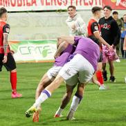Sărbătoare la Mioveni, după ce FC Argeș a promovat, foto: Andrei Furnigă / GSP