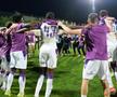 Sărbătoare la Mioveni, după ce FC Argeș a promovat, foto: Andrei Furnigă / GSP
