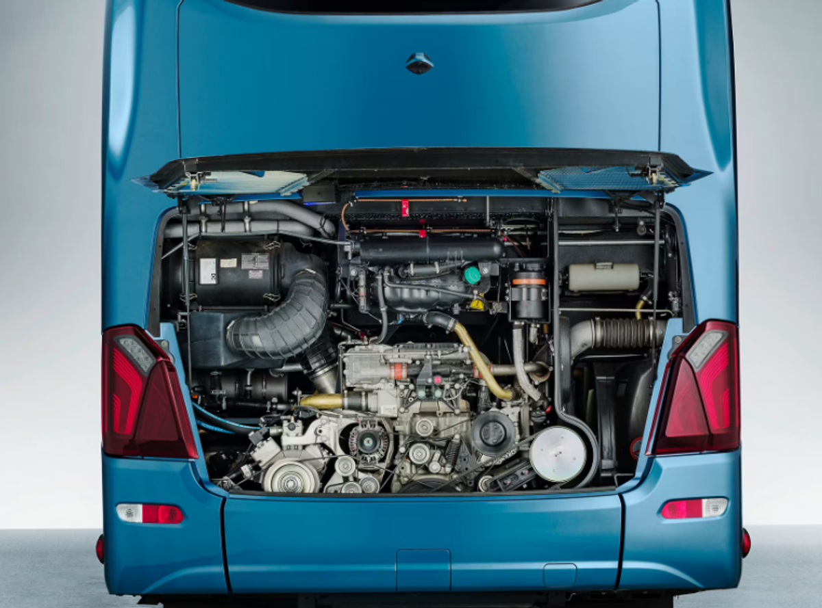 Siglă și autocar FCSB
