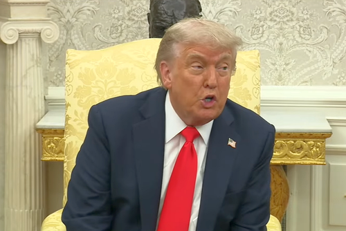 Donald Trump a comparat Rusia și Ucraina cu doi copii care se bat în parc. Foto: Captură YouTube