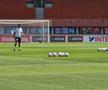 Antrenament oficial Austria // foto: Cezar Titor (GSP)