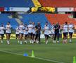 Antrenamentul oficial al echipei naţionale la Viena FOTO: Ionuţ Iordache (GSP)