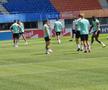 Antrenament oficial Austria // foto: Cezar Titor (GSP)
