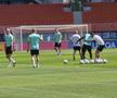 Antrenament oficial Austria // foto: Cezar Titor (GSP)