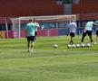 Antrenament oficial Austria // foto: Cezar Titor (GSP)